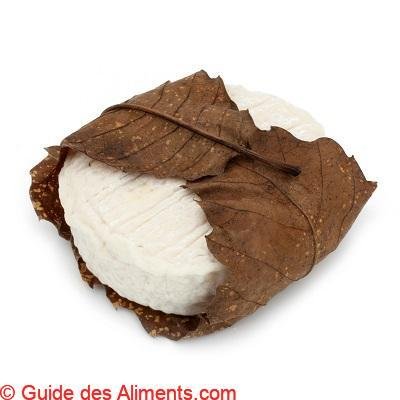 Mothais sur feuille