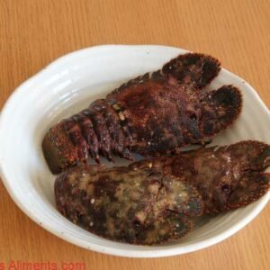 Parribacus japonicus
