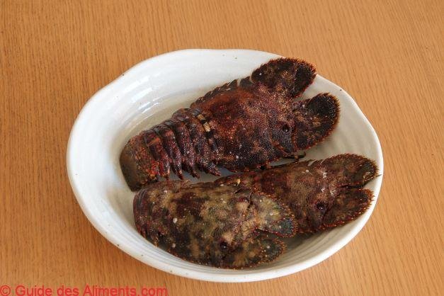 Parribacus japonicus