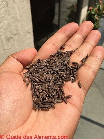 Riz kalanamak