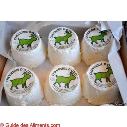Chèvre d'Ozo
