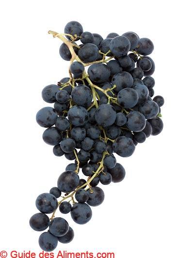 Raisin Muscat de Hambourg