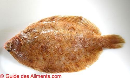 Limande-sole