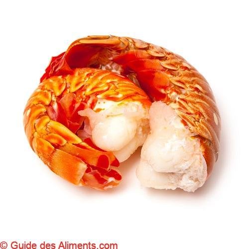 langouste blanche (Panuliirus argus)