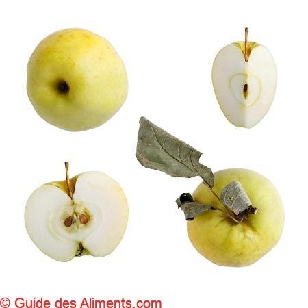 Pomme Antonovka