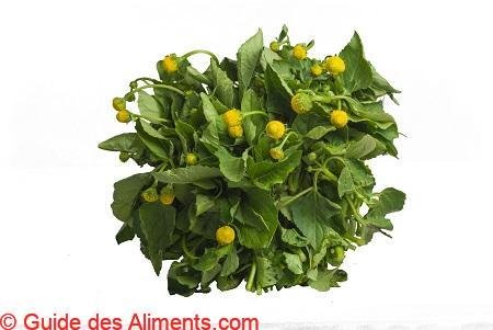 Brède mafane
