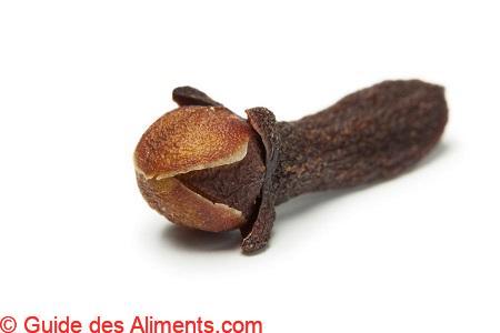 Clou de girofle