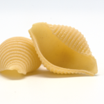 Conchiglie