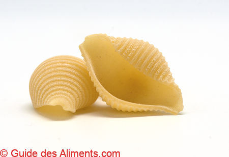 Conchiglie