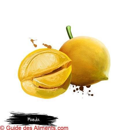 Garcinia dulcis