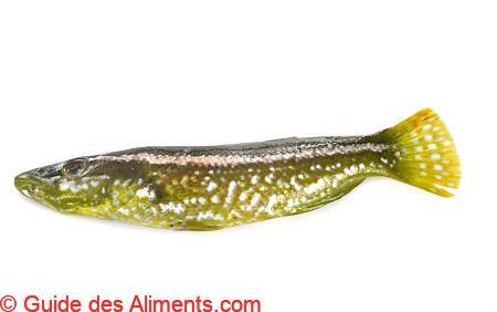 Labre Sild Labre vert - Guide des Aliments