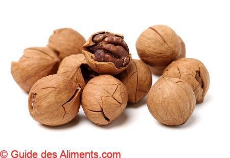 noix de caryer hickory