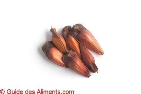 Pignons de Pin du Paraná