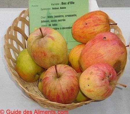 Pomme Bec d'oie