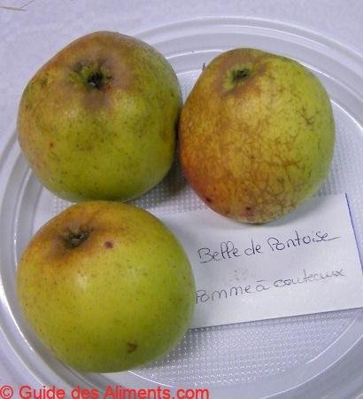 Pomme Belle de Pontoise