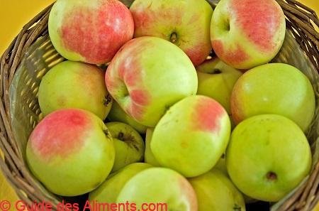 Pomme Bittenfelder Sämling