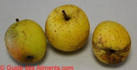 Pomme Bon père
