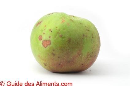 Pomme Bramley