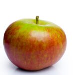 Pomme Cox's Orange Pippin