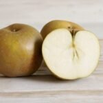 Pomme Egremont Russet