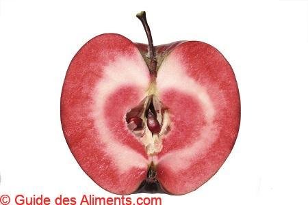 Pomme Era