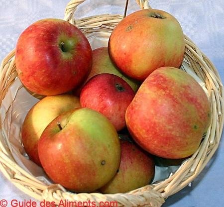 Pomme Geheimrat Doktor Oldenburg