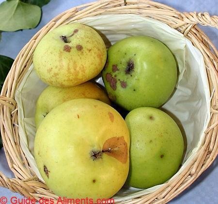 Pomme Golden Noble