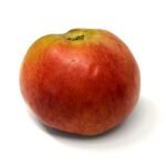 Pomme Grand Alexandre