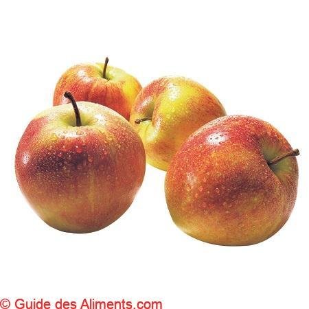 Pomme Jonagold