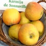 Pomme Karmijn de Sonnaville