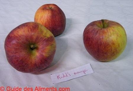Pomme Kidd's Orange Red