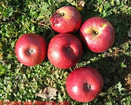 Pomme Lady Williams