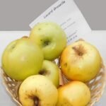 Pomme Locard groseille