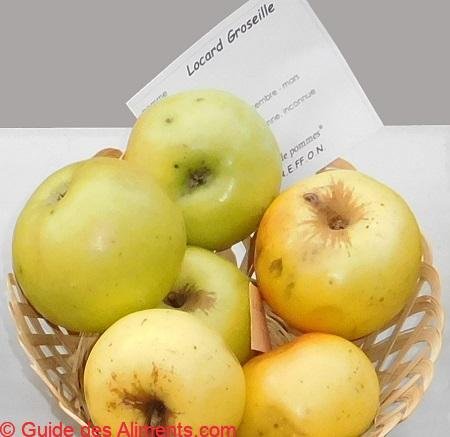 Pomme Locard groseille