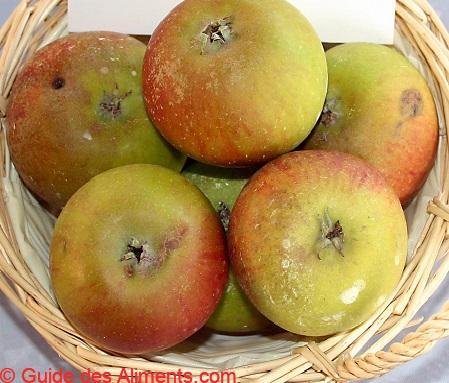 Pomme Prima