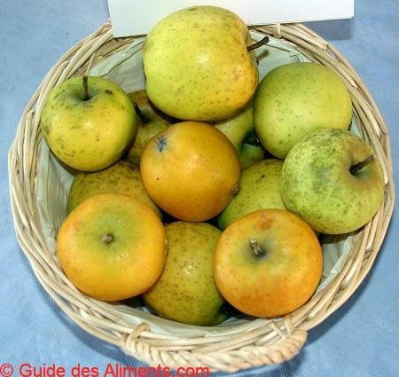 Pomme Reinette Ananas