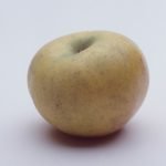 Pomme Reinette Clochard