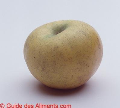 Pomme Reinette Clochard