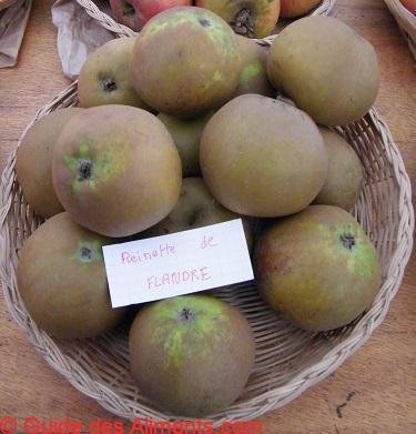 Pomme Reinette de Flandre