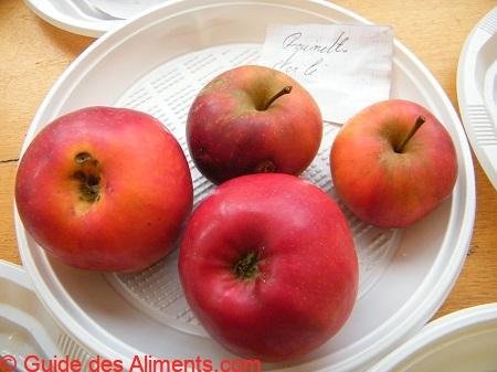 Pomme Reinette étoilée