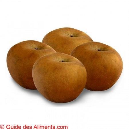 Pomme Reinette grise du Canada