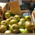 Pomme Roxbury Russet