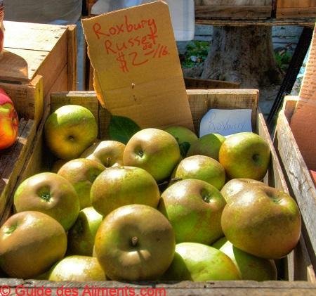 Pomme Roxbury Russet