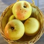 Pomme Transparente de Croncels