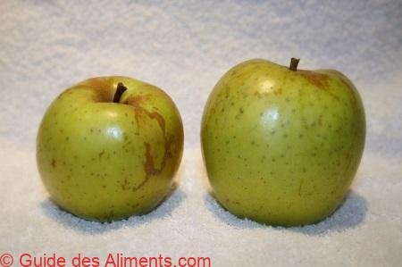 Pomme de l'Estre