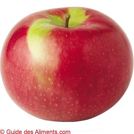 Pomme McIntosh