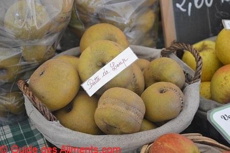 Pomme Patte de loup