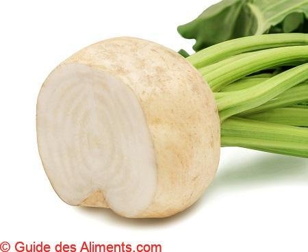 Betterave sucrière