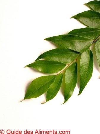 feuilles de curry
