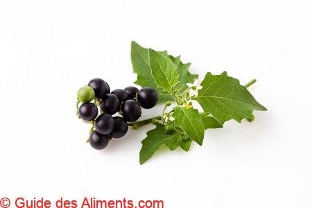 morelle noire